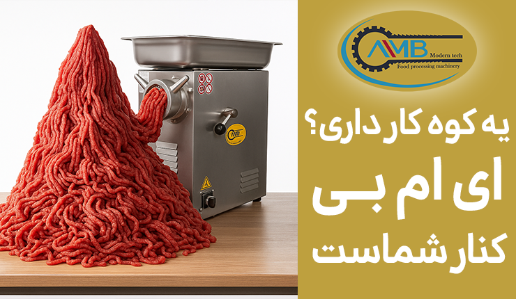 خرید چرخ گوشت ای ام بی